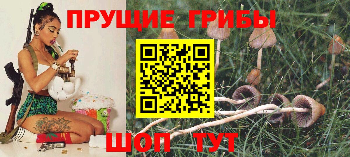 Галлюциногенные грибы мицелий Брянск