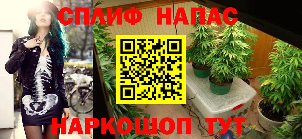 Шишки марихуана Bruce Banner Брянск